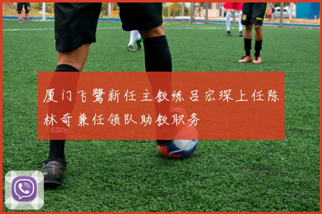 厦门飞鹭新任主教练吕宏琛上任陈林奇兼任领队助教职务