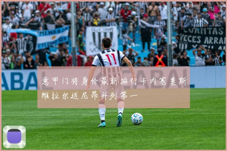 意甲门将身价最新排行卡内塞基斯维拉尔迈尼昂并列第一