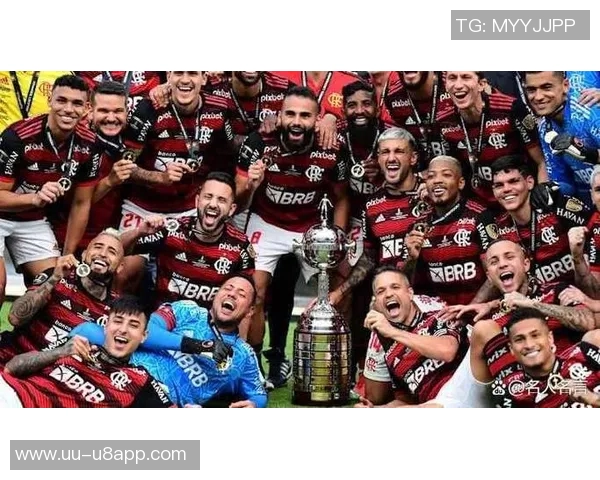 南美解放者杯决赛球队的巴西统治力近十年显著体现 南美解放者杯决赛球队的巴西统治力近十年显著体现